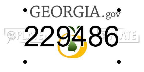 229486 Georgia License Plate
