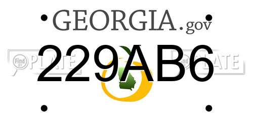 229AB6 Georgia License Plate