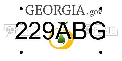 229ABG Georgia License Plate
