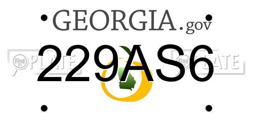 229AS6 Georgia License Plate