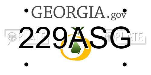 229ASG Georgia License Plate
