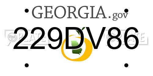 229DV86 Georgia License Plate