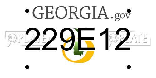 229E12 Georgia License Plate