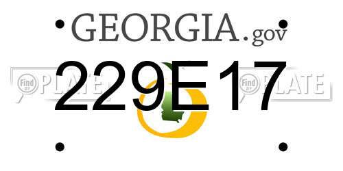 229E17 Georgia License Plate
