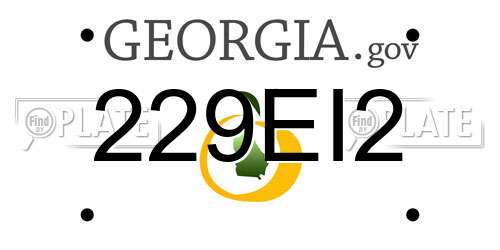 229EI2 Georgia License Plate