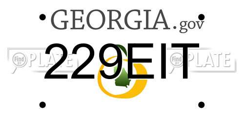 229EIT Georgia License Plate