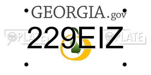 229EIZ Georgia License Plate