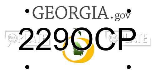 229OCP Georgia License Plate