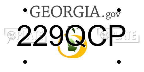 229QCP Georgia License Plate