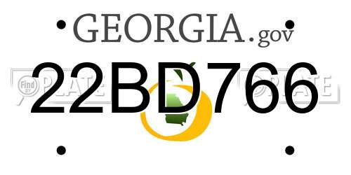 22BD766 Georgia License Plate