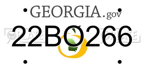 22BO266 Georgia License Plate