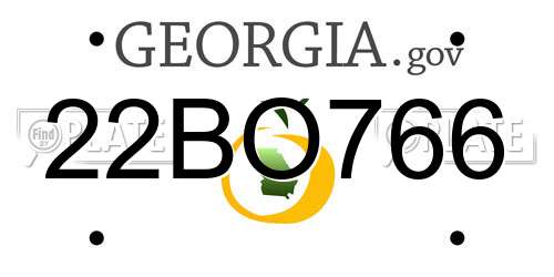 22BO766 Georgia License Plate