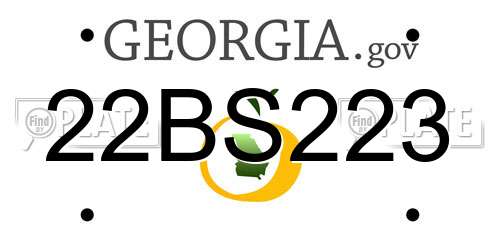 22BS223 Georgia License Plate