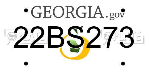 22BS273 Georgia License Plate