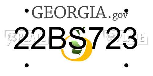 22BS723 Georgia License Plate