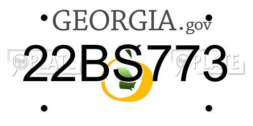 22BS773 Georgia License Plate