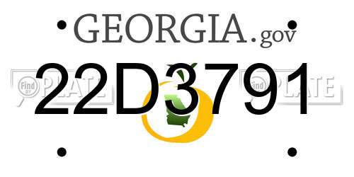 22D3791 Georgia License Plate