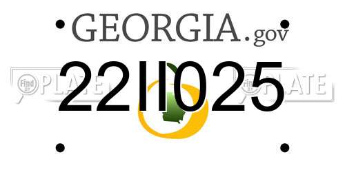 22II025 Georgia License Plate