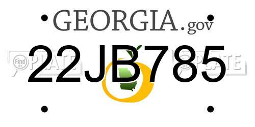 22JB785 Georgia License Plate
