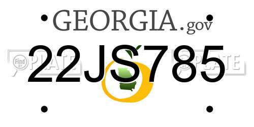 22JS785 Georgia License Plate