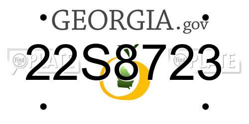 22S8723 Georgia License Plate