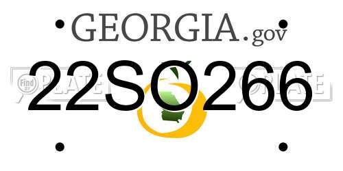22SO266 Georgia License Plate