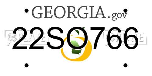 22SO766 Georgia License Plate