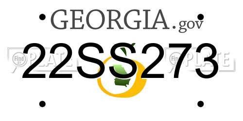 22SS273 Georgia License Plate