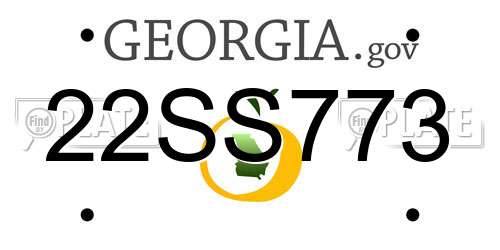 22SS773 Georgia License Plate