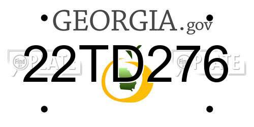 22TD276 Georgia License Plate