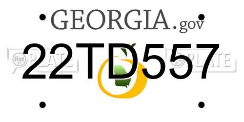 22TD557 Georgia License Plate
