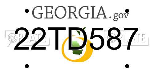 22TD587 Georgia License Plate