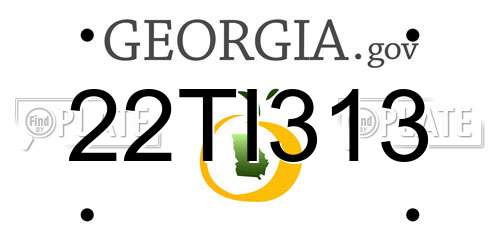 22TI313 Georgia License Plate