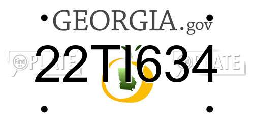 22TI634 Georgia License Plate