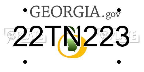 22TN223 Georgia License Plate