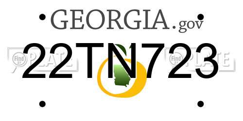 22TN723 Georgia License Plate