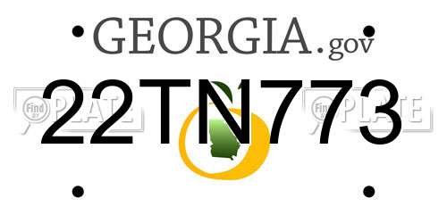 22TN773 Georgia License Plate