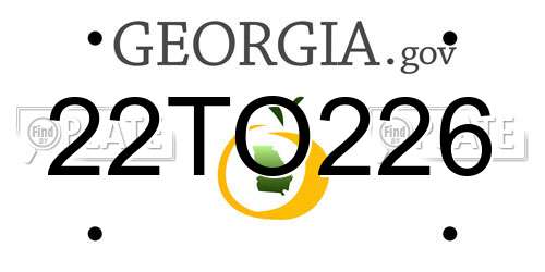 22TO226 Georgia License Plate