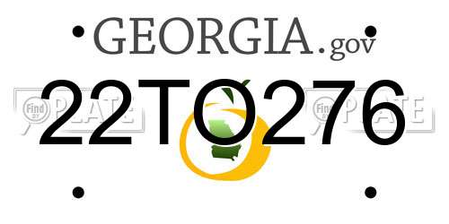 22TO276 Georgia License Plate