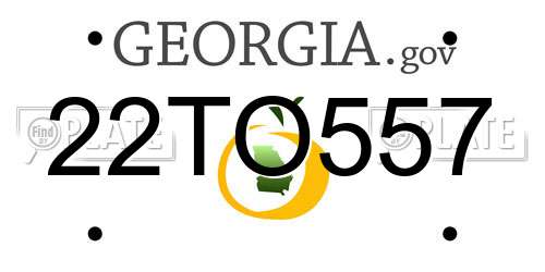 22TO557 Georgia License Plate