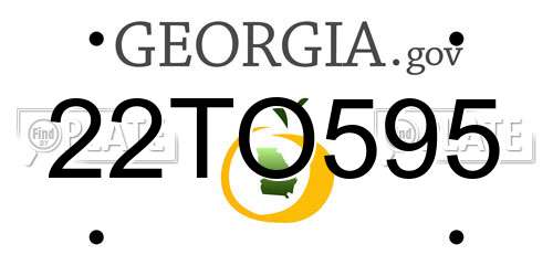 22TO595 Georgia License Plate