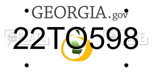22TO598 Georgia License Plate