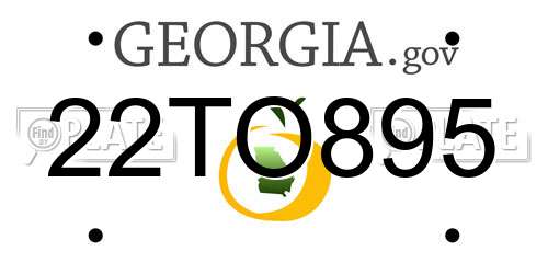 22TO895 Georgia License Plate