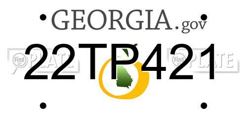 22TP421 Georgia License Plate