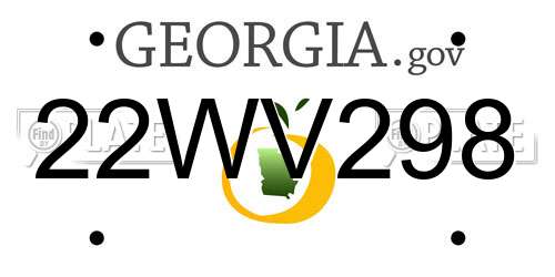 22WV298 Georgia License Plate