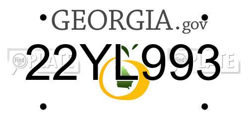 22YL993 Georgia License Plate