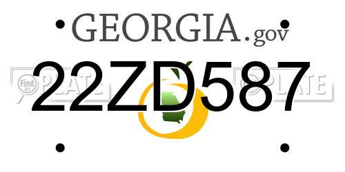 22ZD587 Georgia License Plate