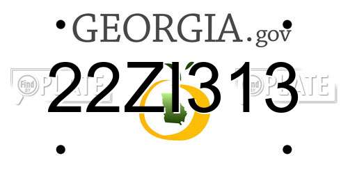 22ZI313 Georgia License Plate