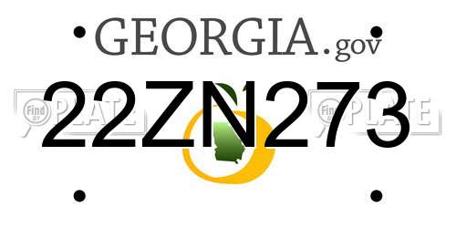22ZN273 Georgia License Plate