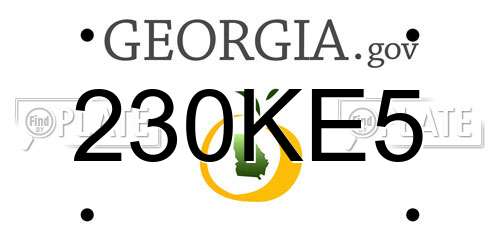230KE5 Georgia License Plate